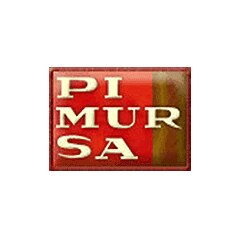 Pimursa 仓库的无线电控穿梭车安装详细信息